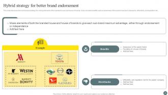 Brand Portfolio Management Process Branding CD V