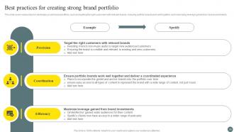 Brand Portfolio Management Process Branding CD V