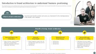 Brand Portfolio Management Process Branding CD V