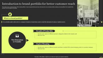 Brand Portfolio Strategy And Architecture Branding CD V