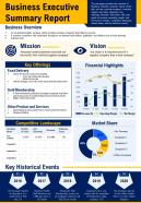 Business executive summary report presentation report infographic ppt pdf document