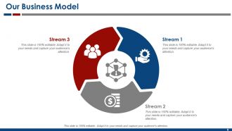 Business Model Powerpoint Presentation Slides