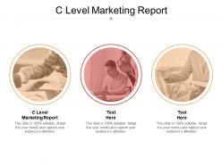 C level marketing report ppt powerpoint presentation file outline cpb