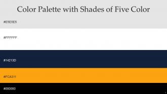 Color Palette With Five Shade Black Big Stone Sun Mercury White