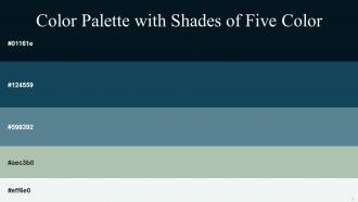 Color Palette With Five Shade Blue Charcoal Eden Smalt Blue Spring Rain Frost