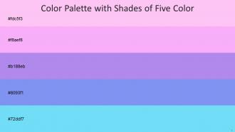 Color Palette With Five Shade Classic Rose Lavender Rose Biloba Flower Portage Malibu