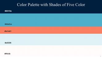 Color Palette With Five Shade Midnight Shakespeare Iceberg Soapstone Bittersweet