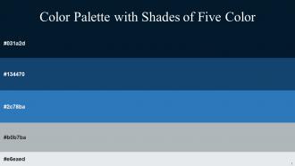 Color Palette With Five Shade Tangaroa Chathams Blue Mariner Bombay Athens Gray