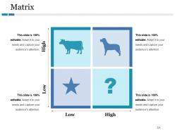 Competitive Landscape Model Powerpoint Presentation Slides