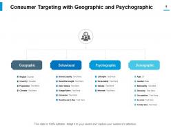 Consumer Targeting Audience Content Promotion Channel Selection Creation