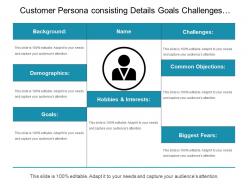 Customer persona consisting details goals challenges common objectives