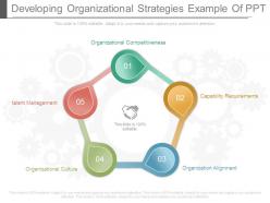 Developing organizational strategies example of ppt