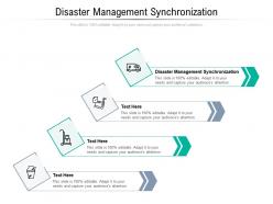 Disaster management synchronization ppt powerpoint presentation file skills cpb