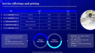 Disney Plus Company Profile Powerpoint Presentation Slides