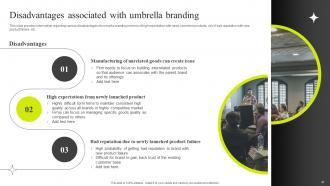 Efficient Management Of Product Corporate And Umbrella Branding CD