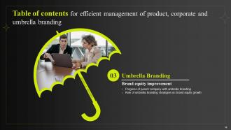 Efficient Management Of Product Corporate And Umbrella Branding CD