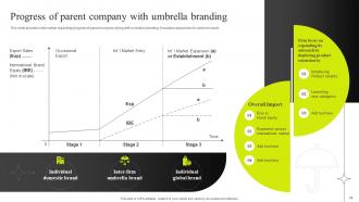 Efficient Management Of Product Corporate And Umbrella Branding CD