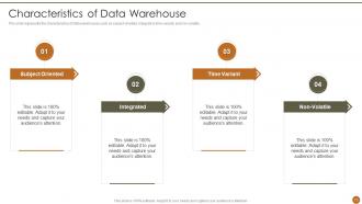 Executive Information System Powerpoint Presentation Slides