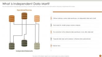 Executive Information System Powerpoint Presentation Slides