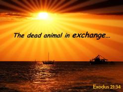 Exodus 21 34 the dead animal in exchange powerpoint church sermon