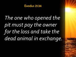 Exodus 21 34 the dead animal in exchange powerpoint church sermon