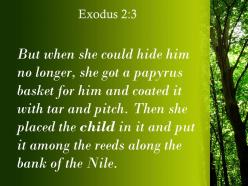 Exodus 2 3 it among the reeds along powerpoint church sermon