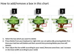 Family tree powerpoint presentation slides