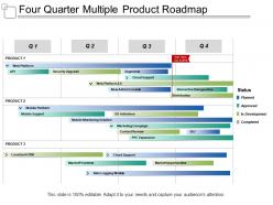 Four quarter multiple product roadmap