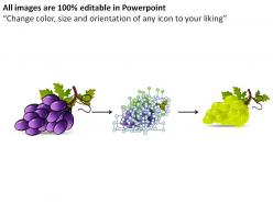 Fruits powerpoint presentation slides