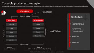 Functional Level Strategy Powerpoint Presentation Slides Strategy CD Multipurpose Pre-designed