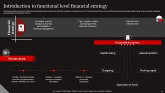 Functional Level Strategy Powerpoint Presentation Slides Strategy CD Multipurpose