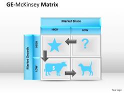 Ge mckinsey chart