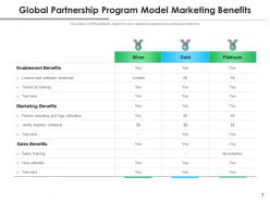 Global Partnership Strategic Alliance Management Framework Development