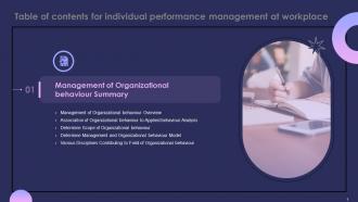 Individual Performance Management At Workplace Powerpoint Presentation Slides Professionally Visual