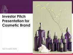 Investor pitch presentation for cosmetic brands ppt template