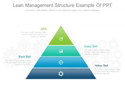 Lean management structure example of ppt