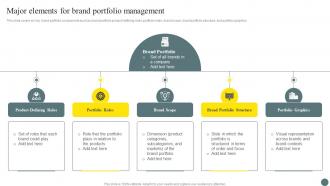 Major Elements For Brand Portfolio Management Brand Portfolio Management Process