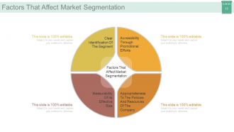 Market segmentation strategy solutions powerpoint presentation with slides