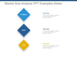 Market size analysis ppt examples slides