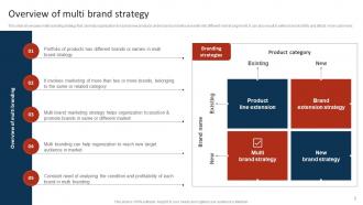 Marketing Strategy To Promote Multiple Brands Among Target Audience Branding CD V