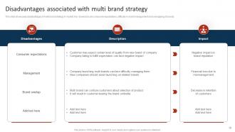 Marketing Strategy To Promote Multiple Brands Among Target Audience Branding CD V