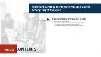 Marketing Strategy To Promote Multiple Brands Among Target Audience Branding CD V