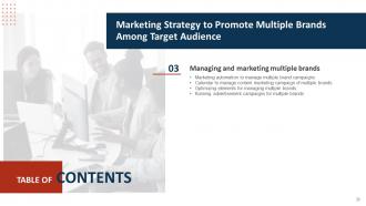 Marketing Strategy To Promote Multiple Brands Among Target Audience Branding CD V