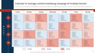 Marketing Strategy To Promote Multiple Brands Among Target Audience Branding CD V