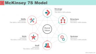 Mckinsey 7s Model Case Study Powerpoint Presentation Slides