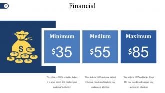 Mergers And Acquisitions Project Plan Powerpoint Presentation Slides