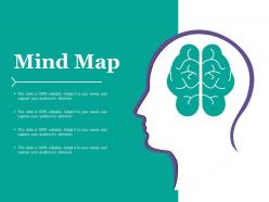 Mind map ppt summary introduction