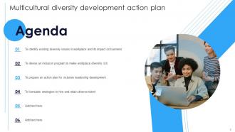 Multicultural Diversity Development Action Plan Powerpoint Presentation Slides