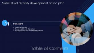 Multicultural Diversity Development Action Plan Powerpoint Presentation Slides