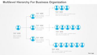 Multilevel hierarchy for business organization flat powerpoint design